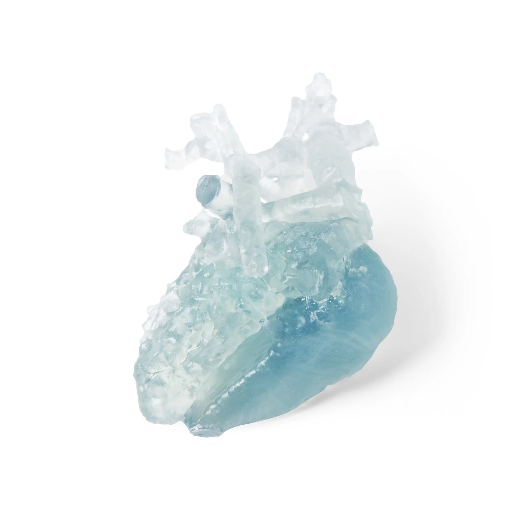 Formlabs BioMed - 80A Resin - Image 3