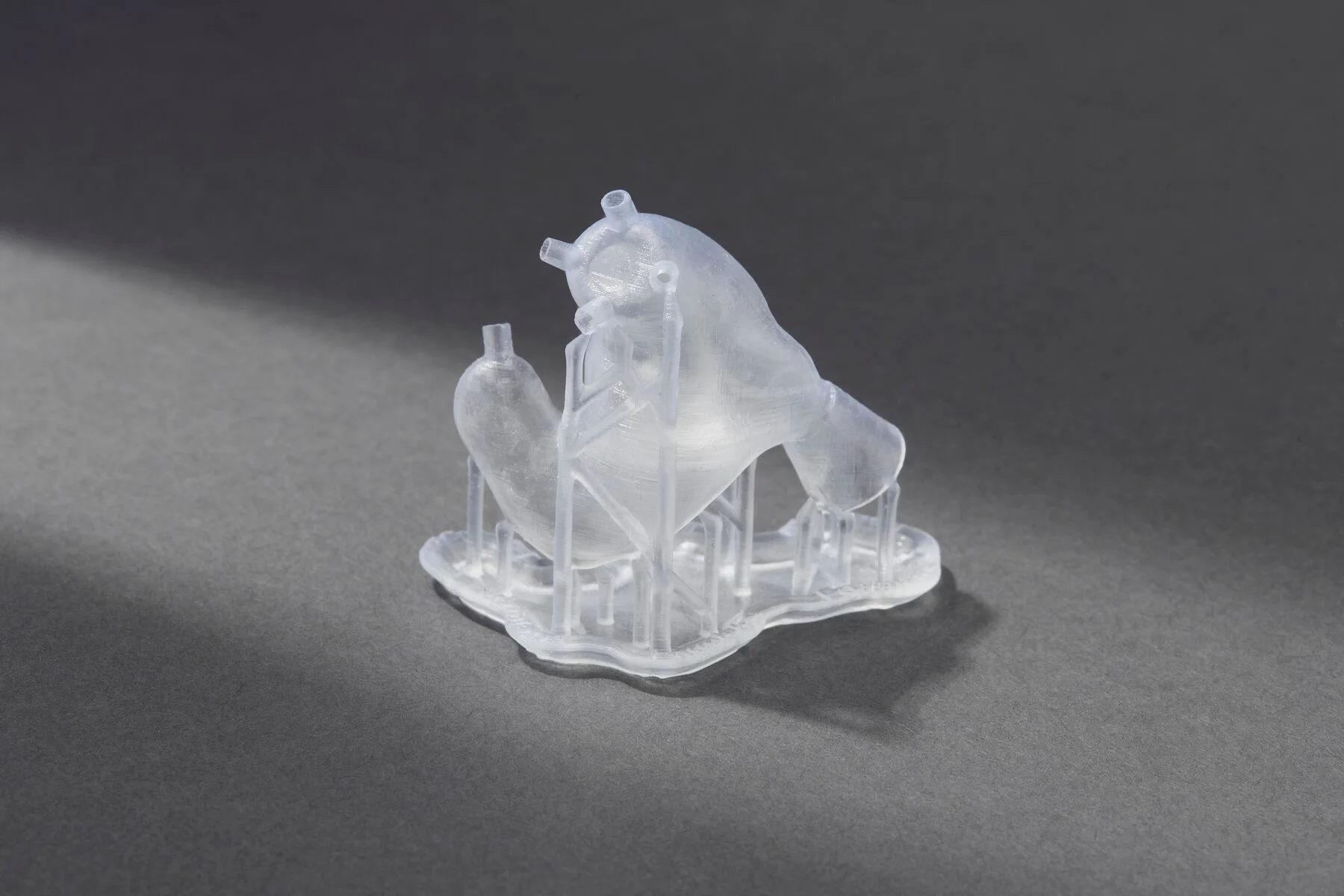 Formlabs BioMed - Clear Resin - Image 7